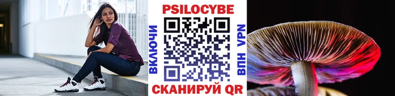 Псилоцибиновые грибы Cubensis  Сусуман 